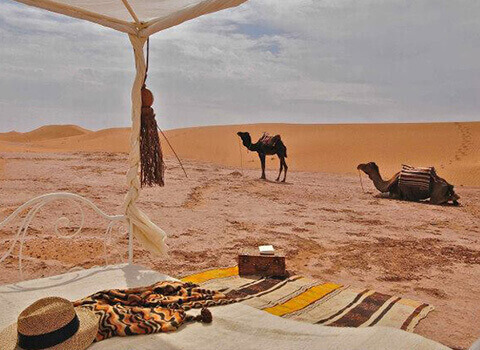Fes to marrakech desert tours 2 days